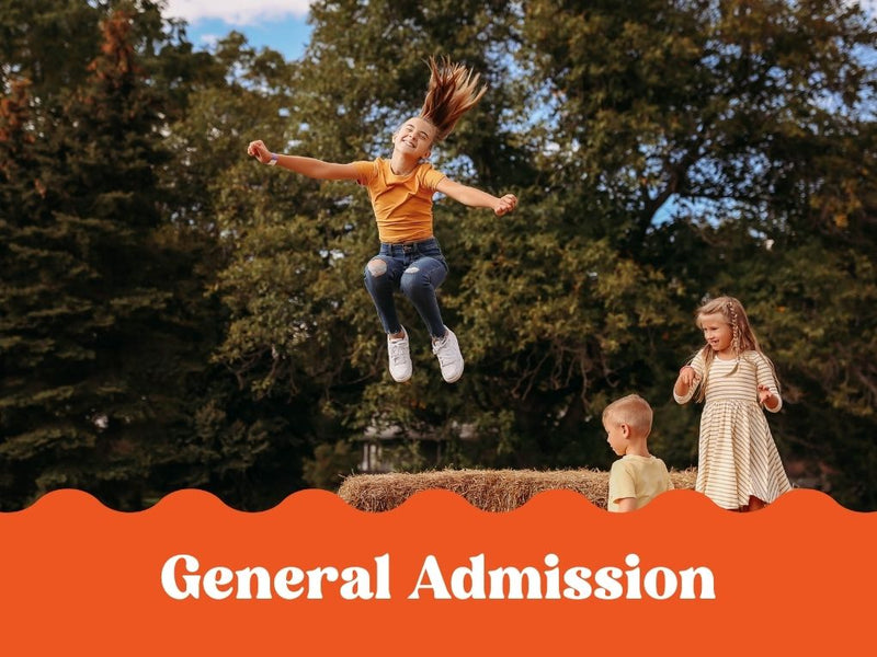 Weekend General Admission