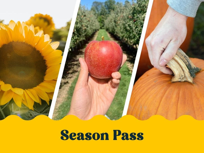 Season Pass