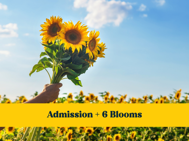 Admission + 6 blooms