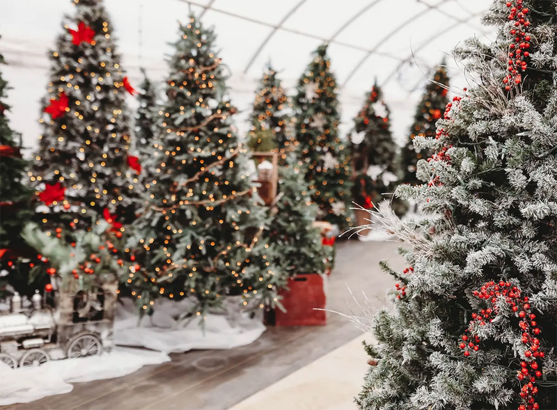 Christmas at the Farm