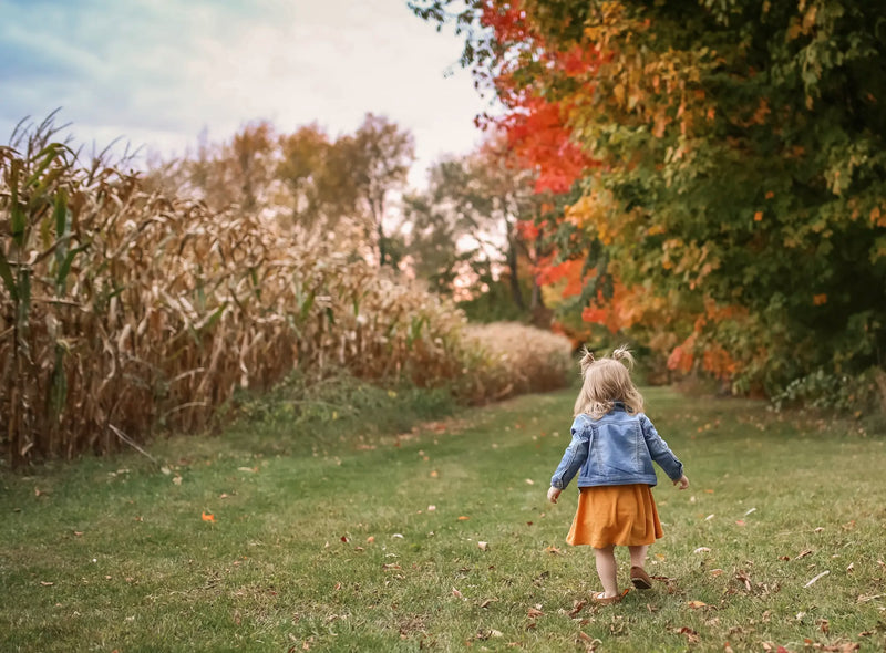 Fall Season