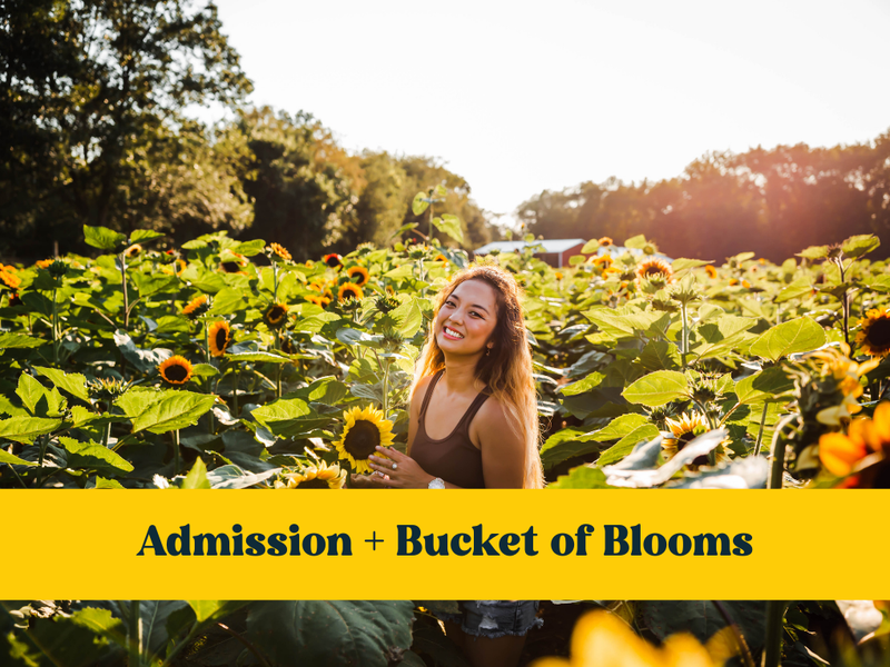 Admission + Bucket of Blooms