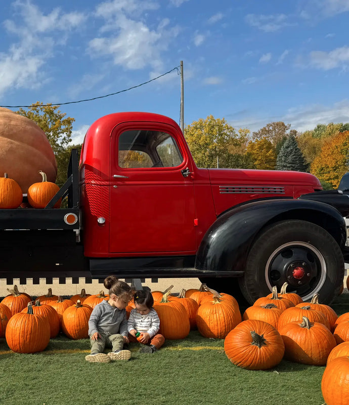 U-Pick Apples & Pumpkins