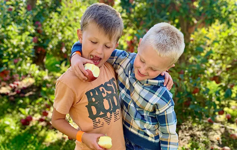 Apple Orchard Tour