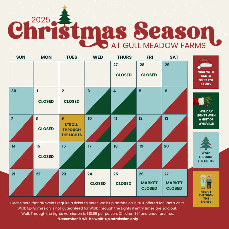 Christmas Event Schedule