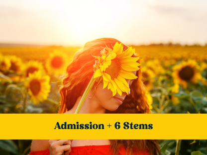 Golden Hour Admission 2026
