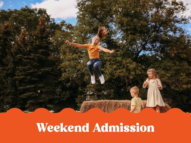 Weekend General Admission