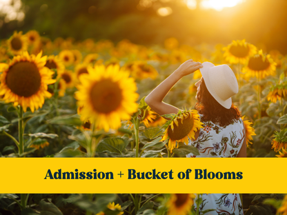 Golden Hour Admission 2026
