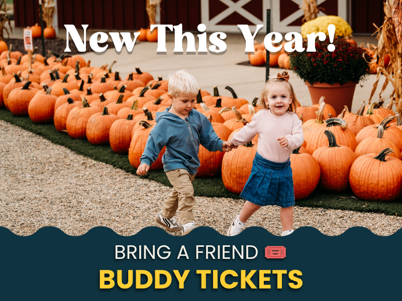 Buddy Ticket
