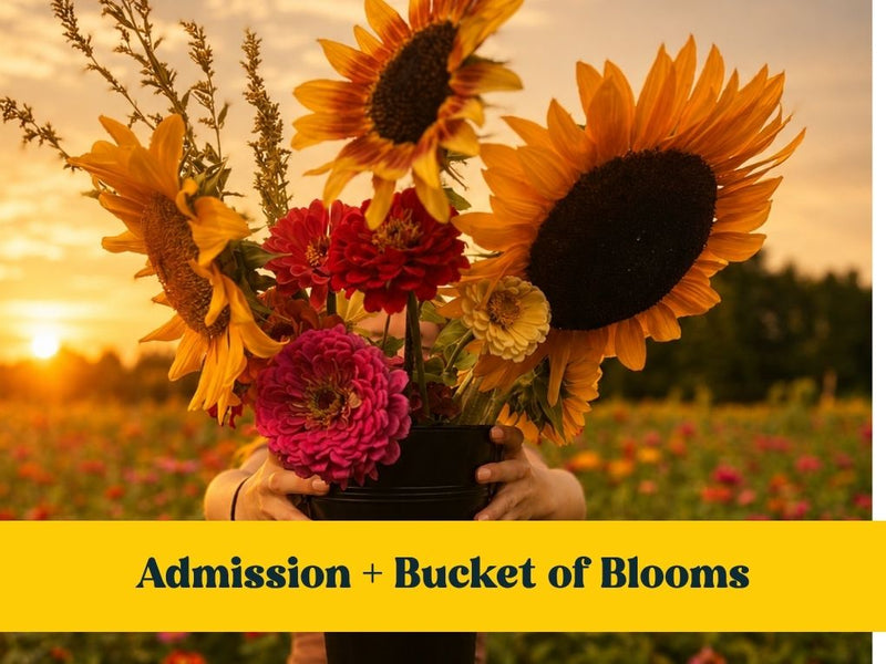 Golden Hour + Bucket of Blooms