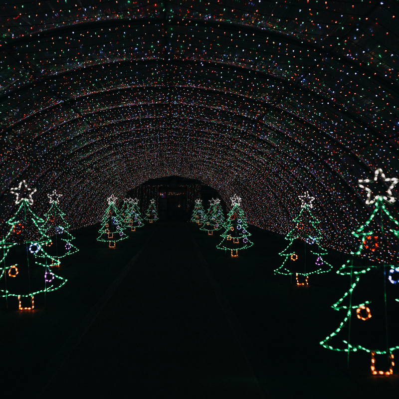 Change Your Walk Through the Light Tickets