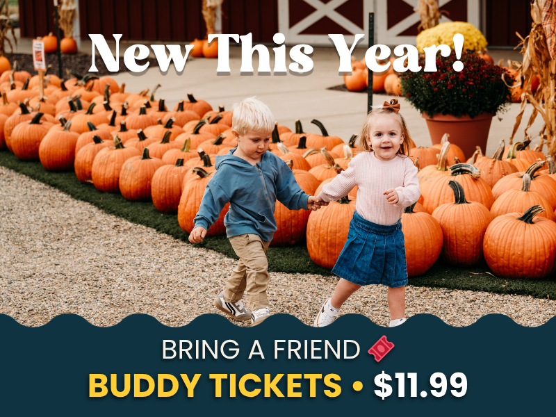 Buddy Ticket