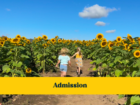 Admission Only