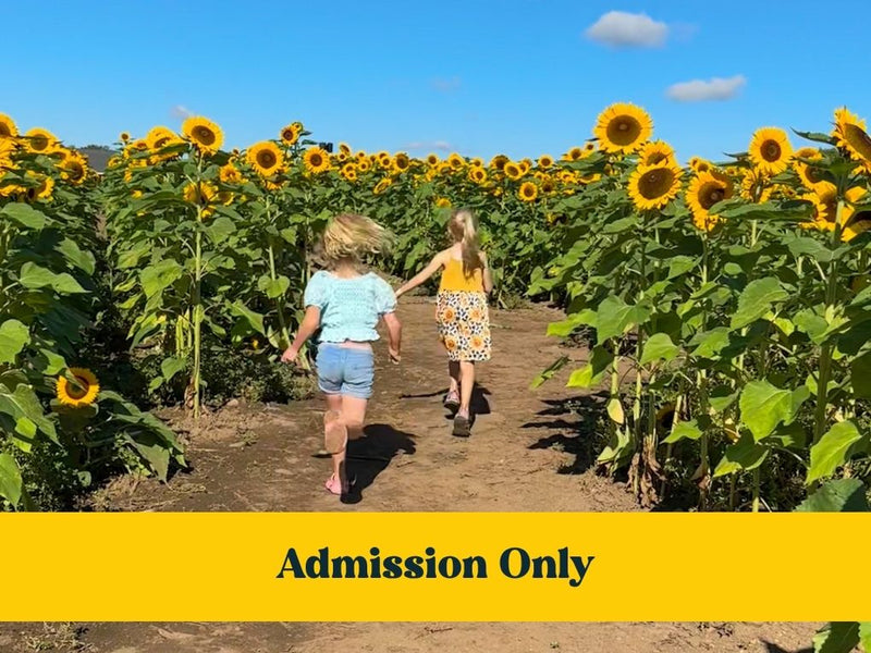 Admission Only