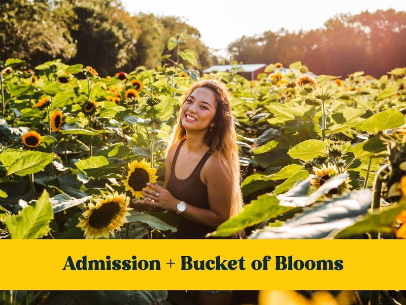 Admission + Bucket of Blooms