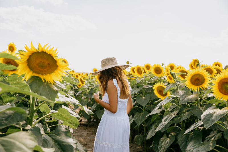 Sunflower Days