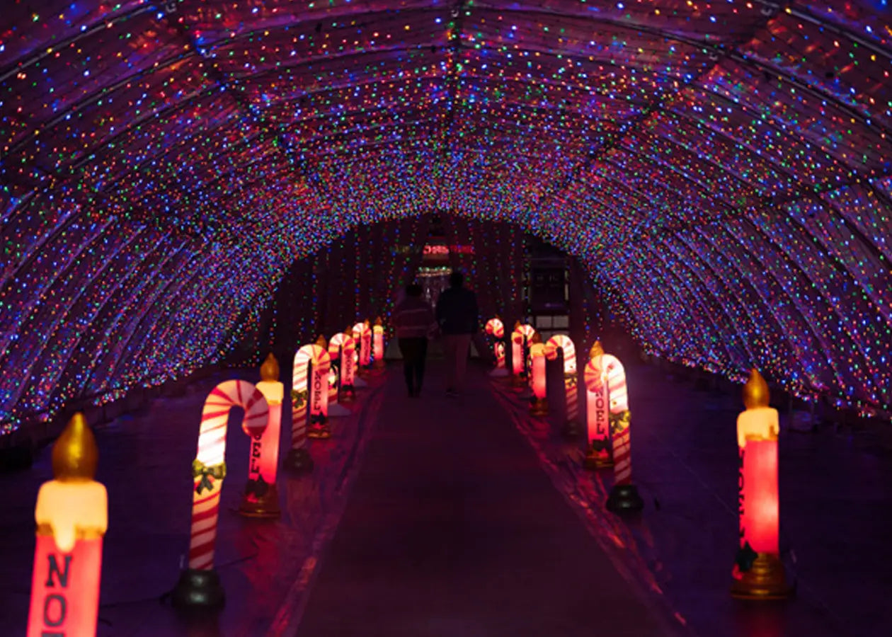 Friday, December 20th Gull Meadow Farms